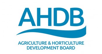 Growers need certainty of trade in post-Brexit world AHDBGrouplog 700