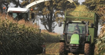 2019 forage maize and biogas maize descriptive lists issued by BSPB maizeharvest hainey grainseed 100517 700