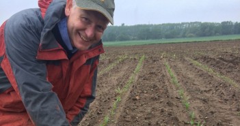 Rapidly growing maize crops need urgent weed control Neil Groom