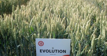 Security and consistency of yield key to profit Evolution is suitable for the late drilling slot