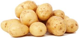 Expect continuing change in weed control strategies in potatoes images