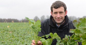 Shape OSR for even flowering James Southgate