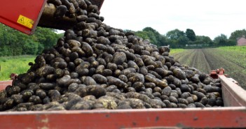 Red Tractor Assurance to launch TV advertising campaign Red Tractor potatoes