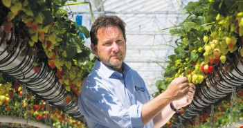 Agrovista renews three-year sponsorship agreement with the National Fruit Show Mark Davies