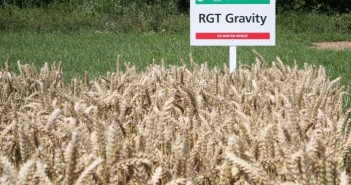 RAGT to show five of the UK’s number one varieties at Cereals