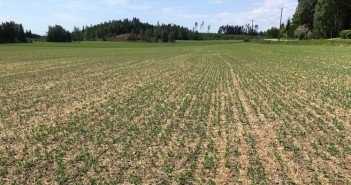 Finnish systems could stimulate UK arable efficiency Finland