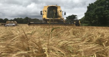 Farmers Optimism Levels Continue to Remain High in Spite of Political Uncertainty Harvest 15 June 2018