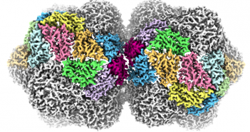 Devastating plant virus is revealed in atomic detail gemini_highres 750