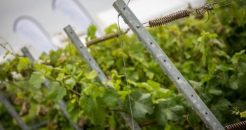 Labour, Brexit and robotics in discussion at Fruit Focus Fruit Focus Forums