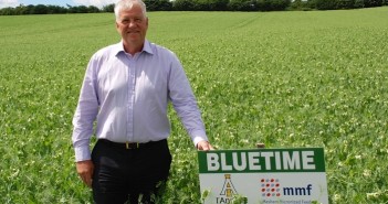 Standing up for peas this spring Theo Labuda