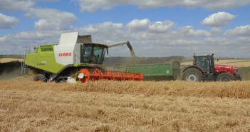 Peas prove their worth for a second year running in Lincolnshire Harvesting LG Stallion