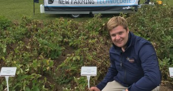 Canopy cover check for desiccation decision James Thomas