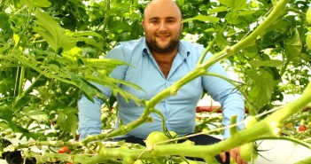 Trailblazing Tomatoes : Fruitful partnership for graduate Adam Dixon