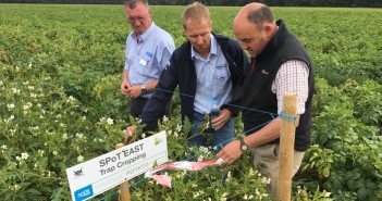 Drought 2018 still posing questions to potato growers Simon Alexander (right) Mark Stalham and Graham Bannister inspect cover crops