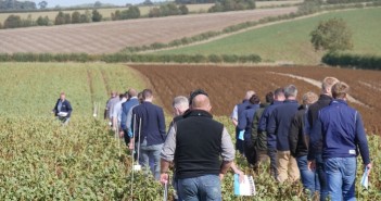 Potential Diquat ban challenges future harvest IMAGE over 40 growers attended the AHDB Strategic Farm Event in North Lincs
