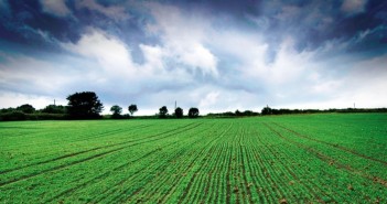 Second wheats offer a profitable option this season Soil-borne diseases such as take-all remain a major threat to profitability of second cereals, reducing yields by up to 30 percent - 01