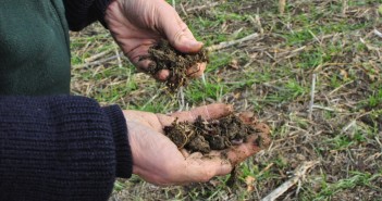 Time to reassess our approach to the earth under our feet, says CPRE In the run-up to the United Nations ‘World Soil Day’, campaigners call for a recognition of the importance of soil and its impact on climate, environment and society soil