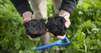 Time for growers to take a closer look at their soils Gs2