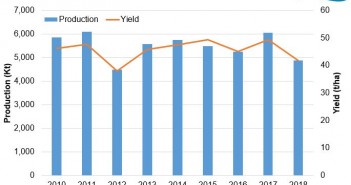 Potato production hits lowest level since 2012 Potatoes production and yield 2010 - 2018