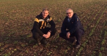 Growing beans for a protein premium Rob Atkin and Richard Plant