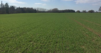 Biostimulants will help drought-affected crops Laureate (Small)