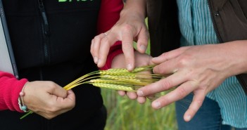 Get an early BASIS point boost at Cereals BASIS_June18-13