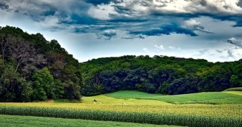 Protein replacement poses challenge wisconsin-1808157_1920