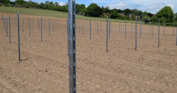 Hadley group to showcase steel vineposts at Vine Expo Hadley Group UltraSTEEL vinepost