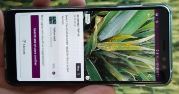 xarvio Digital Farming Solutions launches scouting app for farmers in the UK scouting yellow rust