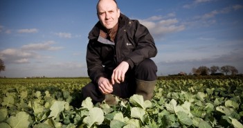 Hybrid oilseed rape to increase market share over the next five years Mike Mann