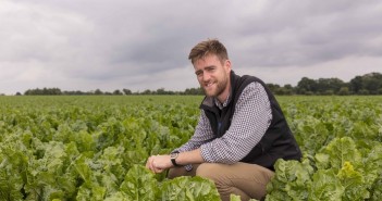 Use Escolta for maximum yields Jack Hill