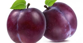 Plum Festival Concerns For Plum Numbers plums.jpg.653x0_q80_crop-smart