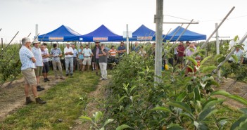 Trials target higher yielding robot-ready orchards Helios Open Day