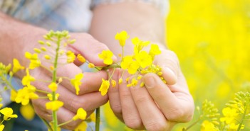 Clethodim trial demonstrates importance of stewardship guidelines Farmer Standing in Oilseed Rapeseed Cultivated Agricultural Fiel