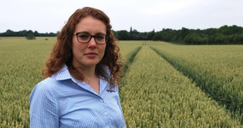 Black-grass dormancy challenges grass weed decisions Georgina Wood