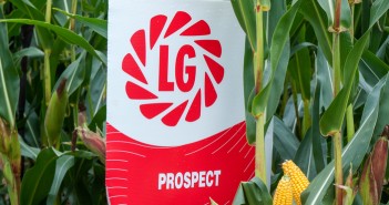Prospect delivers on all fronts Prospect has the potential to produce over 2300 litres more milk per hectare than average varieties