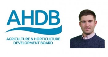 AHDB goes deeper into crop estimate differences AHDB Collier