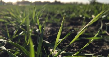 Technology could unlock British farmland’s full potential Arable crop with soil