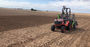Cereals 2020 crop plots growing up and away IMG-20191031-WA0001