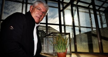 Origin of deadly wheat pathogen discovered by academic partnership Professor Zakkie Pretorius of the University of the Free State in South Africa
