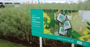 First DSV triple layer ‘low input’ oilseed rape varieties join 2020/21 RL DSV triple layer