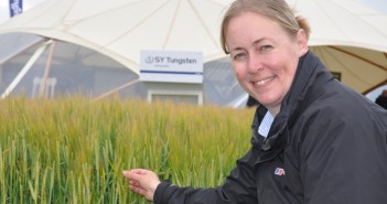 Variety hat-trick on new Recommended Lists continues breeder tradition Cereals 2019