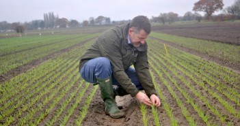 Top tips when ‘over-yearing’ winter seed Lee Harker with young cereal
