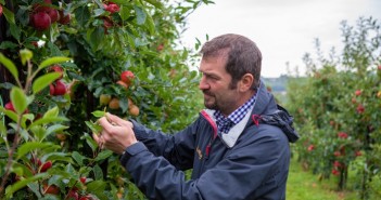 Last season’s prolonged harvest creates spring scab control challenge Alex Radu
