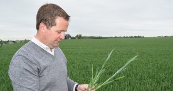 New liquid fertiliser urease inhibitor reduces nitrogen loss whilst improving plant nitrogen uptake James Faulkner