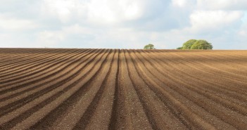 Weed free start key in potatoes: Backrow gives residuals a helping hand Potato ridges- pre emergence of crop