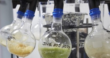 More biostimulants receive organic accreditation ©OLMIX-L.RANNOU 039 ++ HD mini (Small)