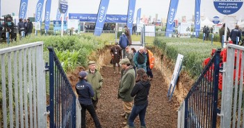 Boost your soil health with Cereals LIVE E42A2452 (small)