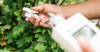 Free guide to measuring leaf transpiration SC-1