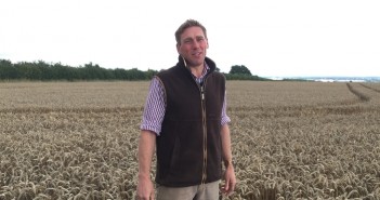 Benefits of pulses in the rotation Toby Hogsbjerg